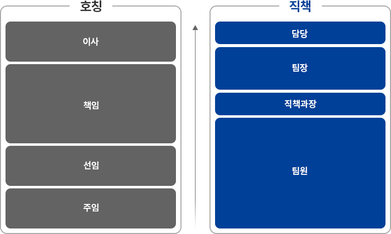 직급체계